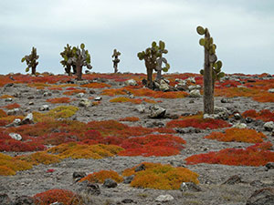 Ecuador and Galapagos