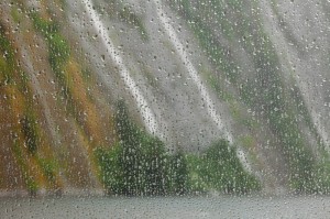 Waterdrops on Window