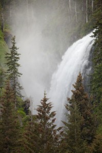 Misty Cove Waterfall