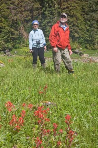 Wildflower Walk