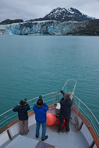 Lamplugh Glacier