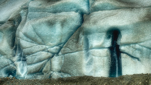 Reid Glacier